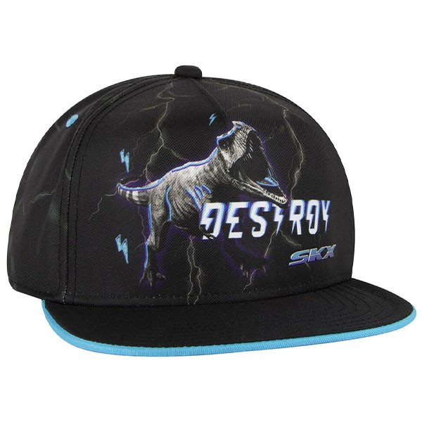DESTROY DINO HAT