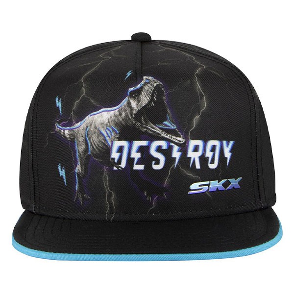 DESTROY DINO HAT